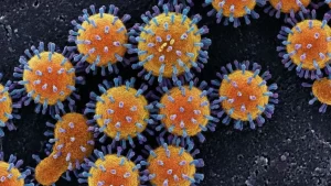 virus-influenza-microscópio