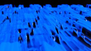 unsplash_EYrrTmTRV6I