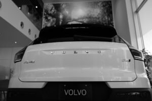 unsplash_I036OuR7Iac