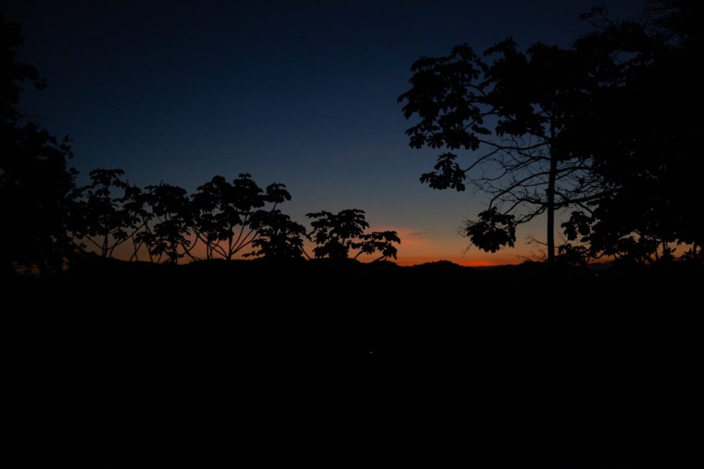 unsplash_vIVR9C9IGpc