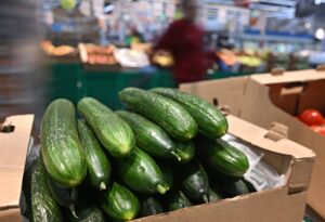 1-2026-02-17t140354z-422355056-rc2knja6s9wt-rtrmadp-