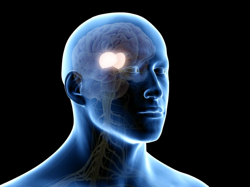 1-adobestock-244921895-1