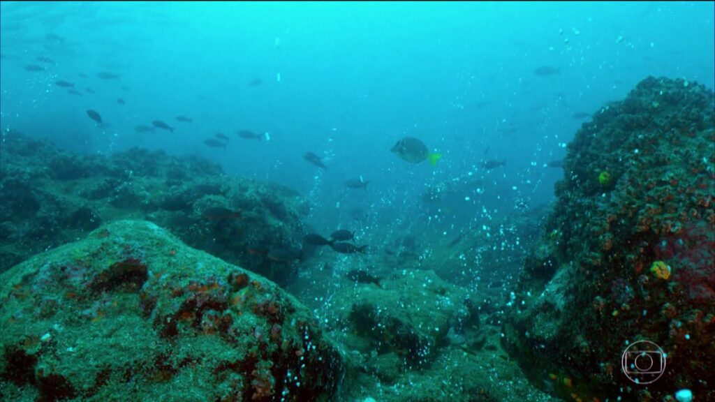 1-coral2-20190412184035