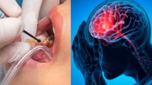 1-novo-projeto-5-1-1