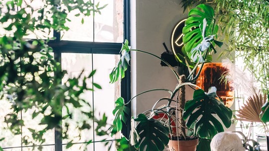 Resort de Luxo no México Revoluciona Hospedagem com Chocolate Artesanal 24 Horas