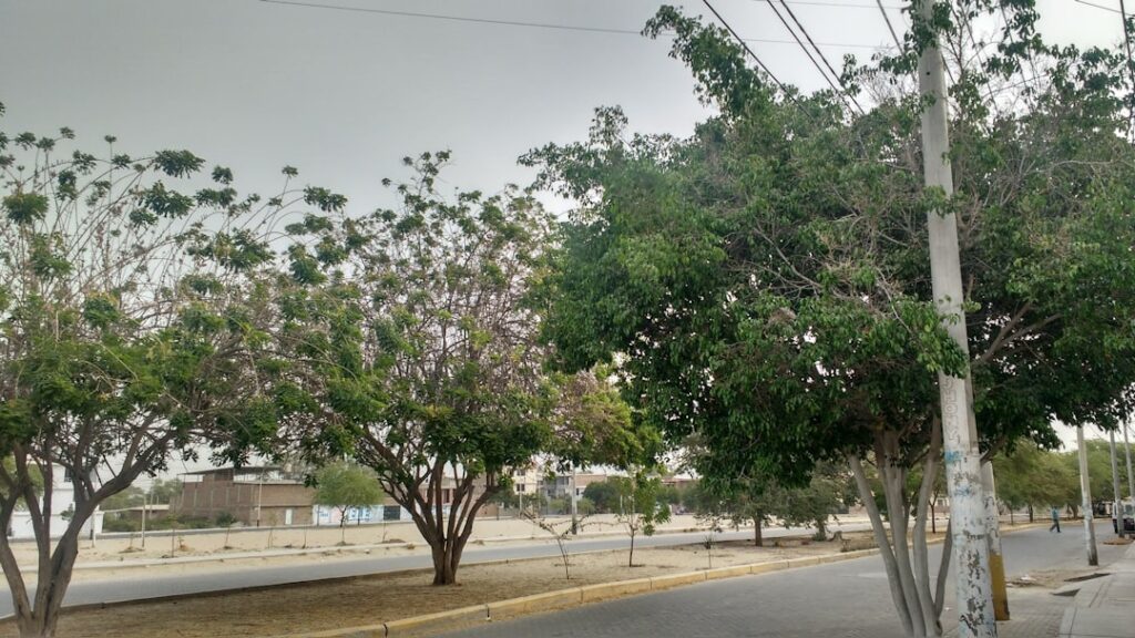 Vivo-76-A-Jornada-unsplash