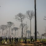 Câmara reduz Floresta Nacional do Jamanxim: entenda os riscos