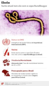 5 vírus que preocupam o Brasil: qual realmente ameaça você?