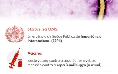 5 vírus que preocupam o Brasil: qual realmente ameaça você?