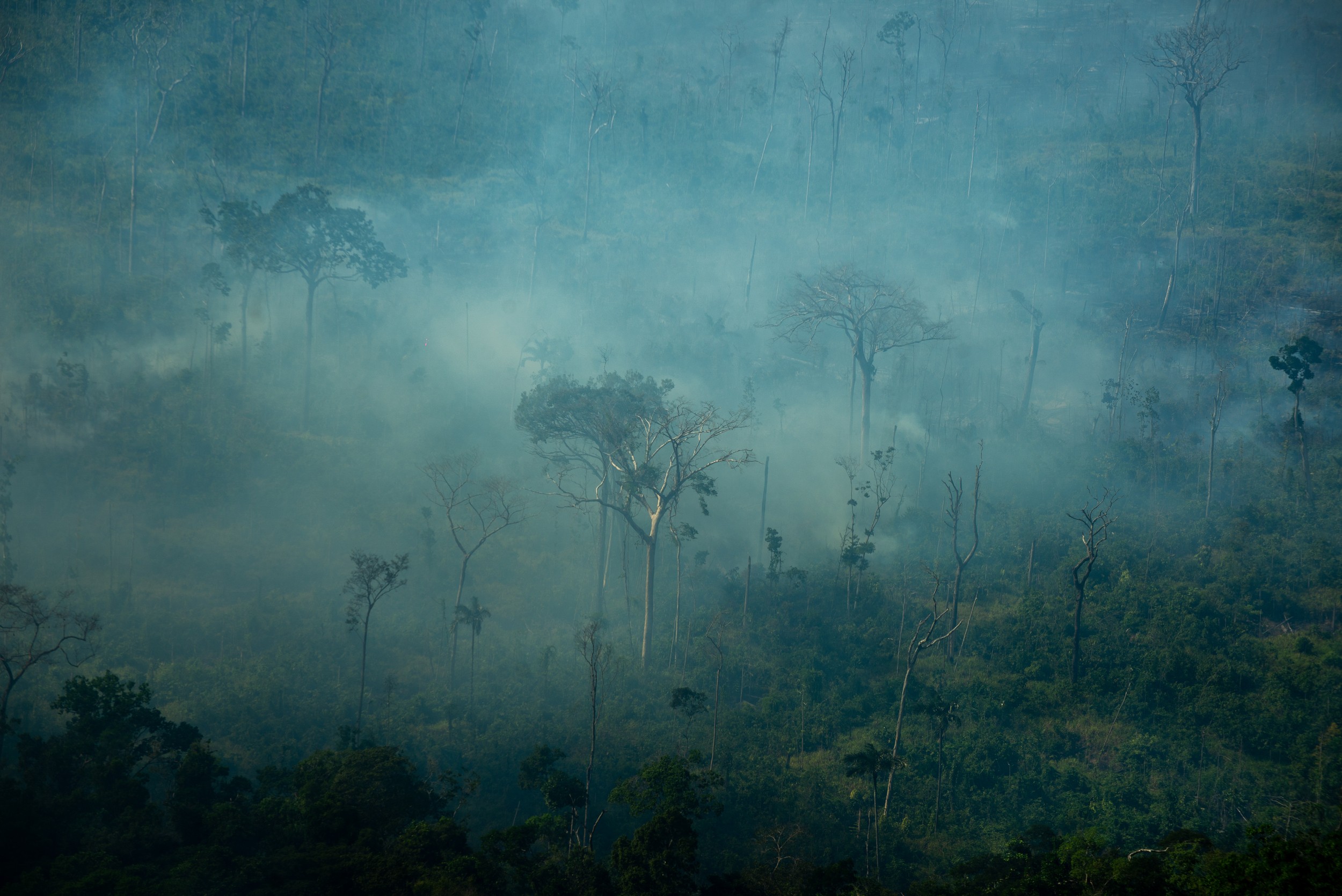 STF cobra plano contra incêndios no Pantanal e Amazônia em 2026