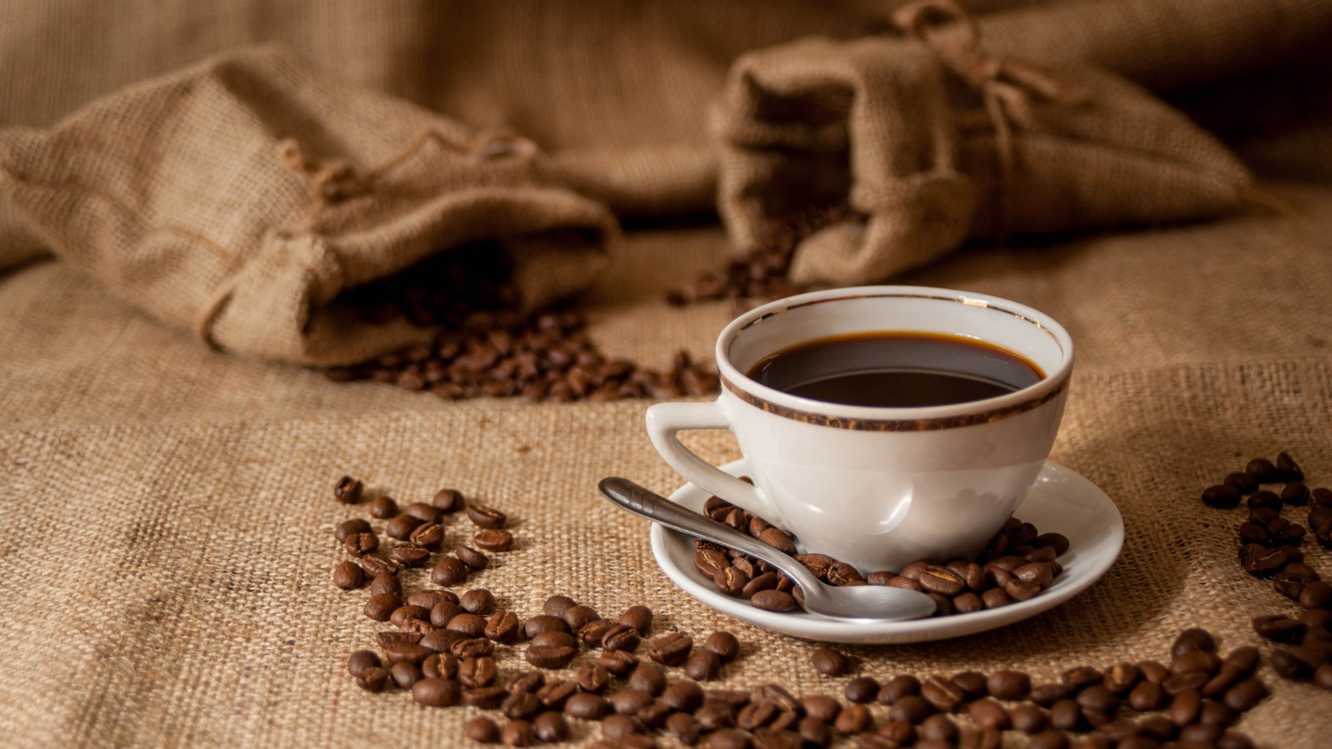 Guia prático: como armazenar café após a colheita sem perder qualidade