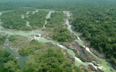 STF aprova Ferrogrão: o que muda para o agro e o meio ambiente?