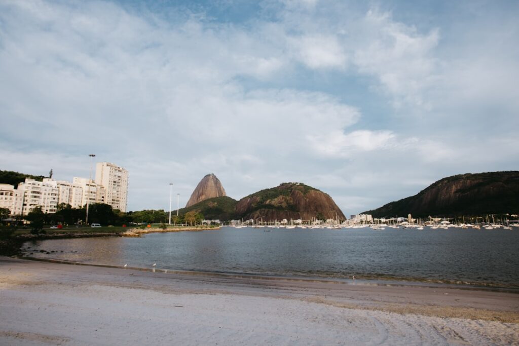Superbactérias em ostras: o que o estudo da USP revela