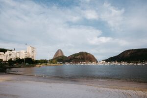 Superbactérias em ostras: o que o estudo da USP revela