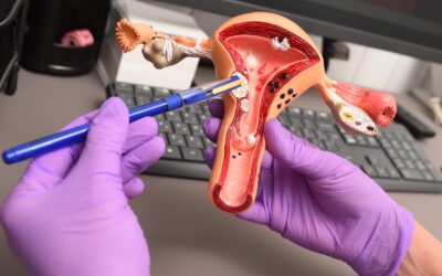 O papel crucial das trompas na fertilidade feminina